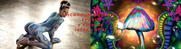 соль курить ск Ладушкин
