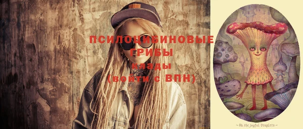 соль курить ск Ладушкин